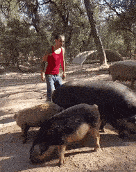 73E5258E-42E0-4080-A1AC-4EA277730D1E.gif