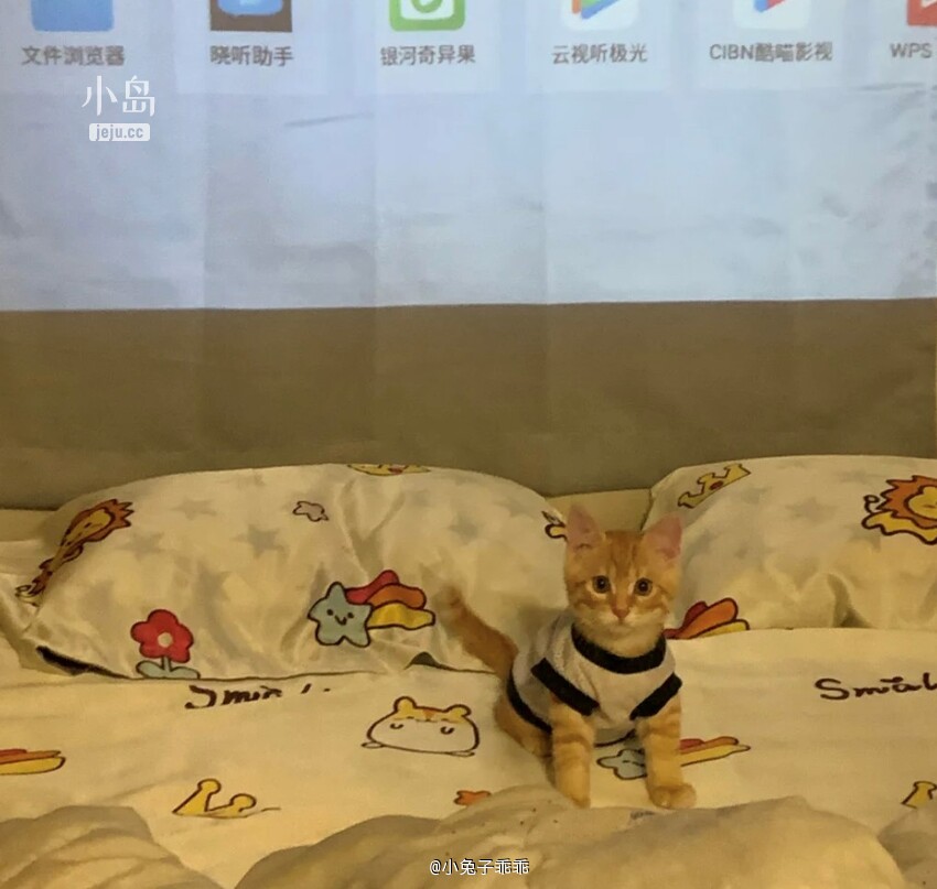 布丁1.jpg