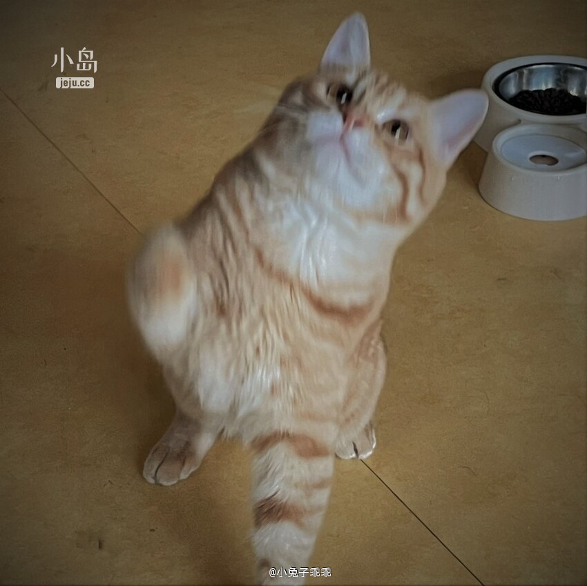 布丁3.jpg